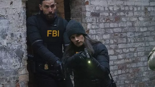 Image FBI 20