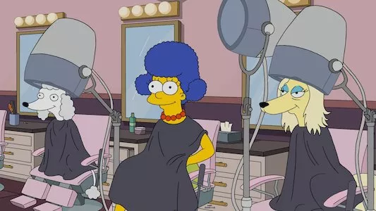 Image Los Simpsons 22