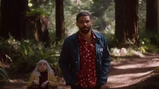 Image The OA 2