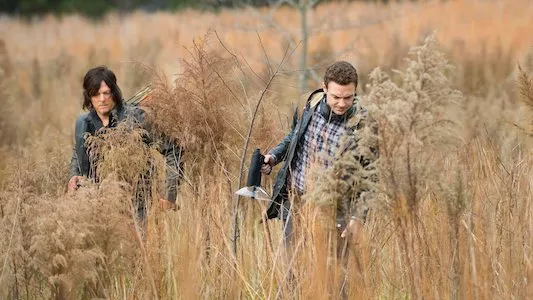 Image The Walking Dead 16