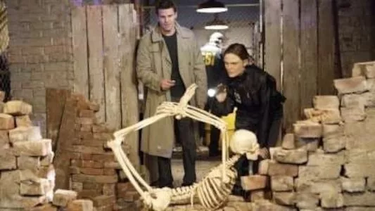 Image Bones 13